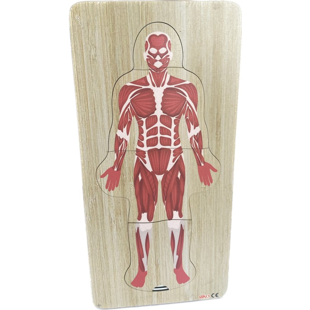 Katlı Vücut Puzzle