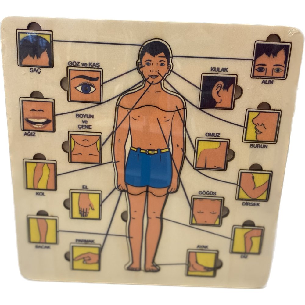 Vücudumuz (Kulplu 20 Parça Ahşap Puzzle)